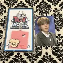 【新品・未開封】スキズ　TOYWORLD　キーホルダー　トレカセット　スンミン