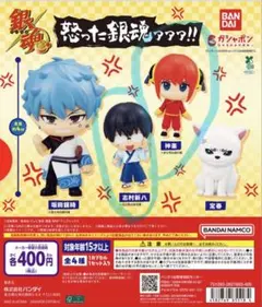 銀魂 怒った銀魂ァァァ！！ ガチャ 神楽 志村新八