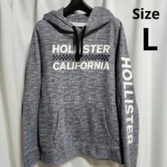【HOLLISTER 】 スウェットパーカー 　Lサイズ