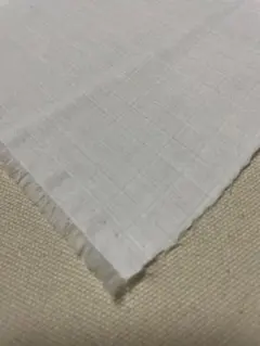 Item thumbnail for item 1b342b0c-764a-46a6-8788-b1ea6dc198f2