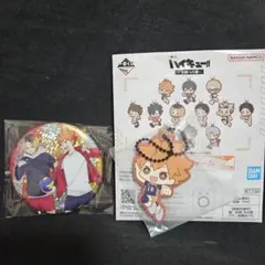 ハイキュー!! 日向翔陽 ホログラム缶バッジ ラバーチャーム