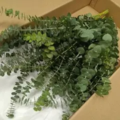 pp...様 リクエスト 2点 まとめ商品