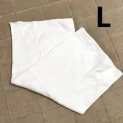 Item thumbnail for item 7136c068-19d5-4692-b3c9-a9203961828c