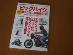 Item thumbnail for item 901aa588-262d-45ce-bb90-da7f1e514896