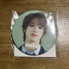 月様専用 缶バッジ