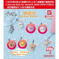 SKZOO めじるしアクセサリー 4種トェッキ ジニレット ハンクワッカ ポガリ