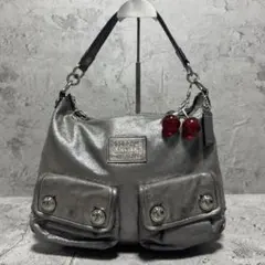 Y2K COACH POPPY Double pocket bag