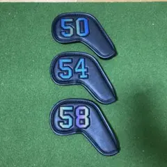 Item thumbnail for item 7d509899-169d-425b-b1cc-da3cc2e74265