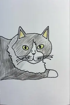 猫　イラスト3 ポストカードサイズ