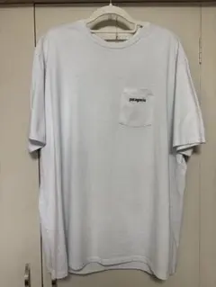 Patagonia パタゴニア　Tシャツ　ホワイト L アウトドア