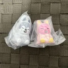 スキズ　SKZOO ライトマスコット　バンチャン　チャンビン