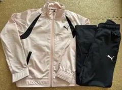 PUMA ピンク黒 ジャージセット　140