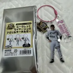 タイガース シークレット 優勝 ロゴ ワイヤー アクリルキーホルダー 梅野隆太郎
