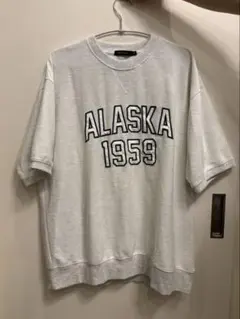 niko and... ALASKA 1959 Tシャツ Mサイズ
