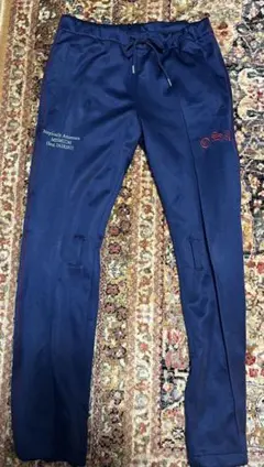 Item thumbnail for item 7181fa56-a6e4-4c72-8712-50d25a01f291