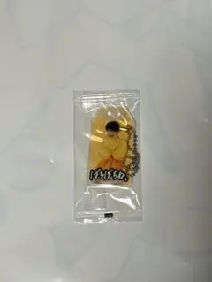 向井康二　アクリルお守りキーホルダー