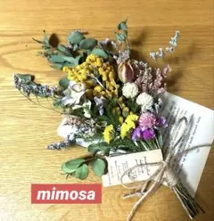 ✴️ 초여름 ✳ ︎ 미모사와 유칼립투스 드라이 플라워 스웨그 인테리어