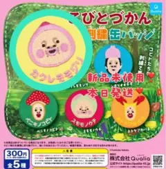 カクレモモジリ カプセルトイ