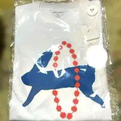 Item thumbnail for item 640d3ba4-179e-48a5-b956-f53e8921db15