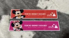東京ディズニーリゾート デコレーションマグネット