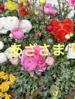 2026年最新】machattの人気アイテム - メルカリ