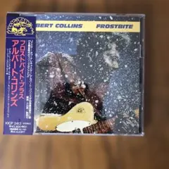 アルバート•コリンズ　フロストバイト•プラス　国内盤CD