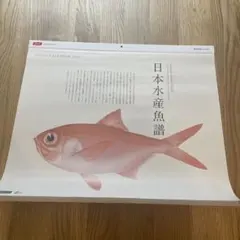 2026年最新】日本水産魚譜の人気アイテム - メルカリ
