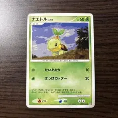 ナエトル PROMO DPプロモーションカード 072/DP-P | Mercari
