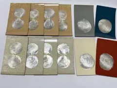 貝殻デザイン 皿 12枚セット