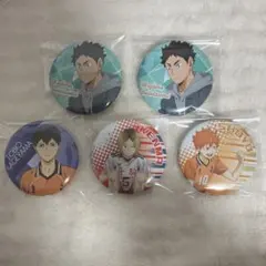 日向翔陽　影山飛雄　孤爪研磨　岩泉一　ハイキュー　缶バッジ　ガチャ