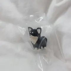 おすわりーぬ4 チワワ　ブラックタン