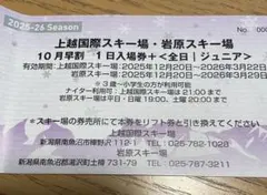 2026年最新】岩原 スキーの人気アイテム - メルカリ