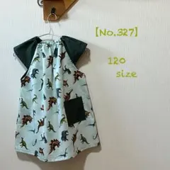 Item thumbnail for item 579549a9-4af4-469c-ac2f-0b20e840192e