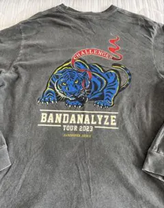 【最終値下げ】CHALLENGER BANDANALYZEのサムネイル