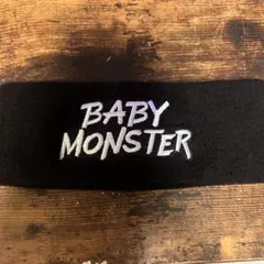 BABY MONSTER ツアーグッズ まとめ売り 2025 BABYMONSTER 1st WORLD TOUR <HELLO MONSTERS> IN JAPAN