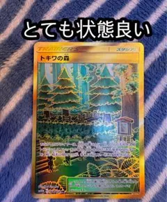 0*d様 トキワの森 UR SM10b スカイレジェンド 068/054のサムネイル