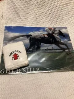 【Aさん専用】ゴールドシップ クリアファイル＆タオルハンカチ セット