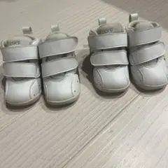 Item thumbnail for item b61b2010-8f56-4bad-86f0-df135e2c2497