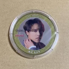 EBiDAN BUDDiiS KEVIN ケビン コースター ソイヤ