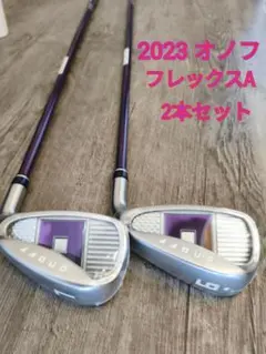 2023 オノフ　レディース　2本セット　フレックスAのサムネイル