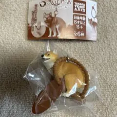 ふんばりーぬ 柴犬 ガチャ