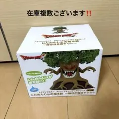 未開封　ドラゴンクエスト　じんめんじゅの植木鉢　種付き栽培キットのサムネイル