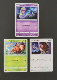 隠れポケモン 伝説の三鳥 スカイレジェンド ホーホー アーボ イシズマイ
