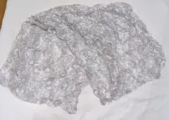 Item thumbnail for item 99b57325-30c9-4135-aa21-57e90410490f