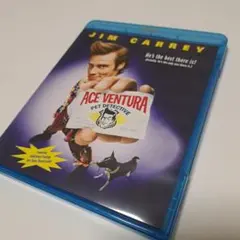 Item thumbnail for item 1faef0ce-c81e-4ed7-9a2d-c826e84be146