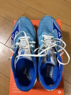 Item thumbnail for item 4828cd1d-a729-4c1d-82f2-10153f468a8e