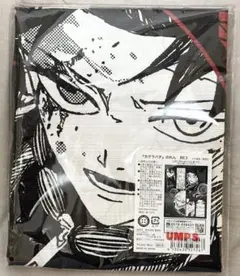 2025年最新】カグラバチ タペストリーの人気アイテム - メルカリ