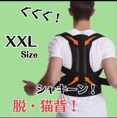 【XXLサイズ】猫背 矯正ベルト 姿勢サポータ 腰痛改善 美姿勢 肩こりのサムネイル