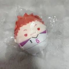 D賞 天童覚 天童 ハイキュー くじメイト ぬいくじ 2 ふわコロりん