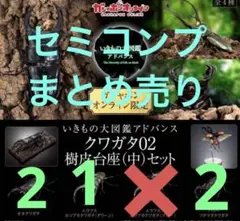 いきもの大図鑑アドバンス　くわがた02 オンライン版　セミコンプ　セット